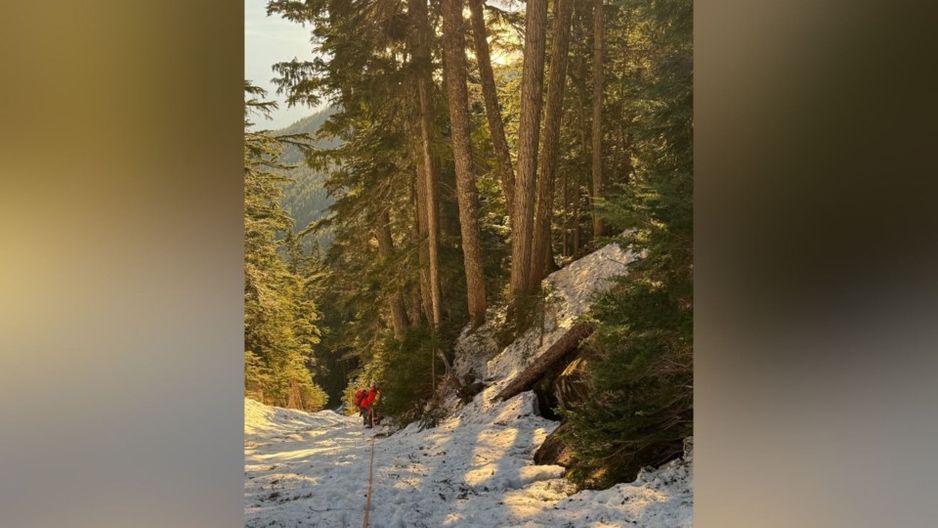 社交媒体上分享的照片显示,搜救队在陡峭的地形中使用绳索并在厚雪中作业。Lions Bay 搜救队