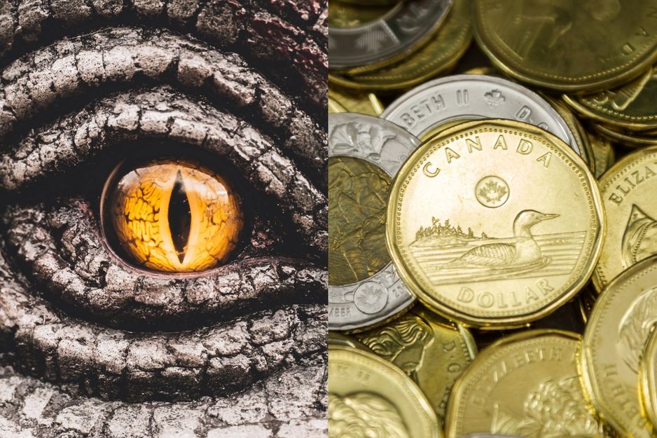 这枚新出的加拿大硬币让人想起《侏罗纪世界》