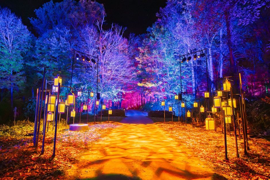 哈利&middot;波特禁忌森林体验