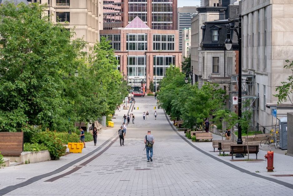 加拿大将削减国际学生签证数量