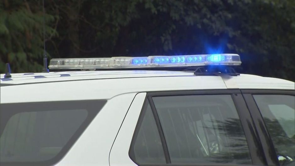 档案 - 加拿大皇家骑警巡逻车. (CityNews 图片)