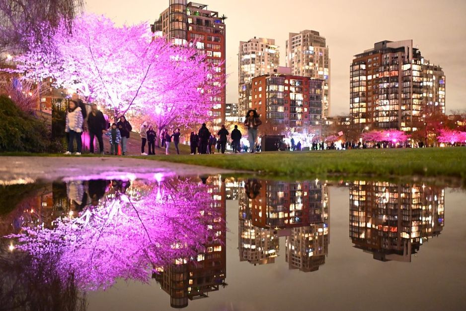 温哥华神奇的樱花节回归,伴随新活动庆祝重要年