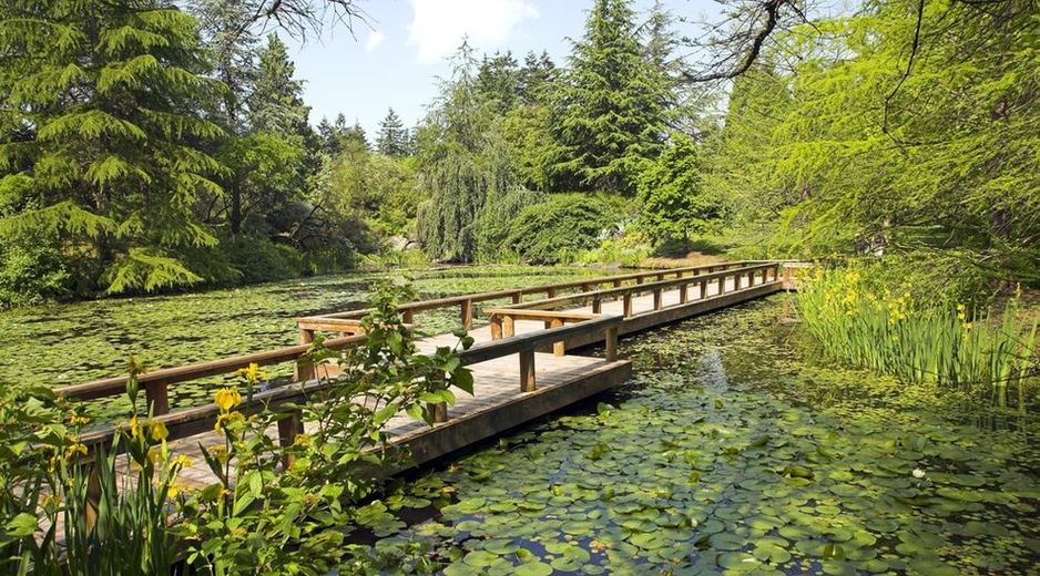 温哥华范杜森植物园的小径