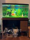 30加仑鱼缸及桌台$60