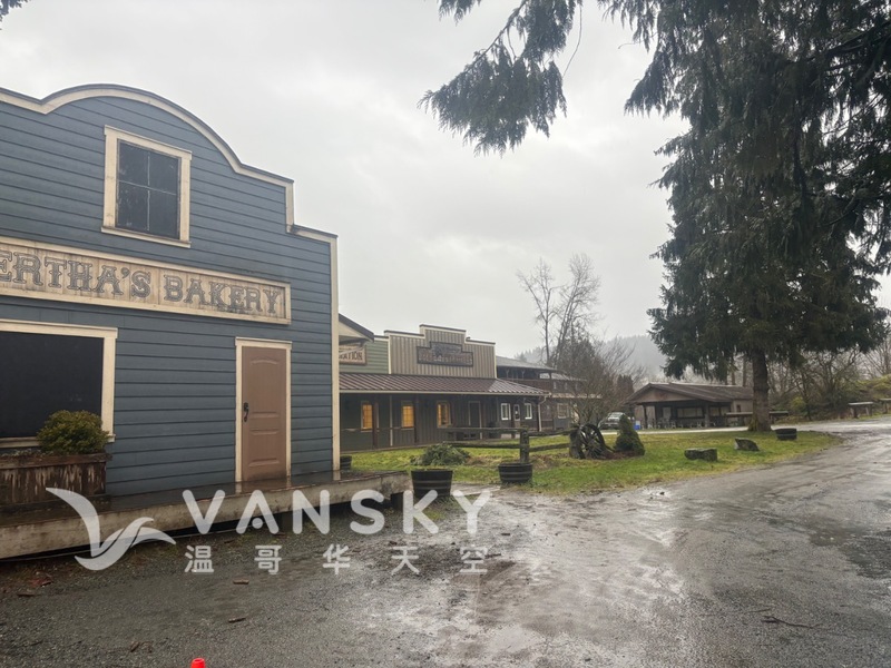 高贵林中心高层公寓两房两卫一书房， 带两车位