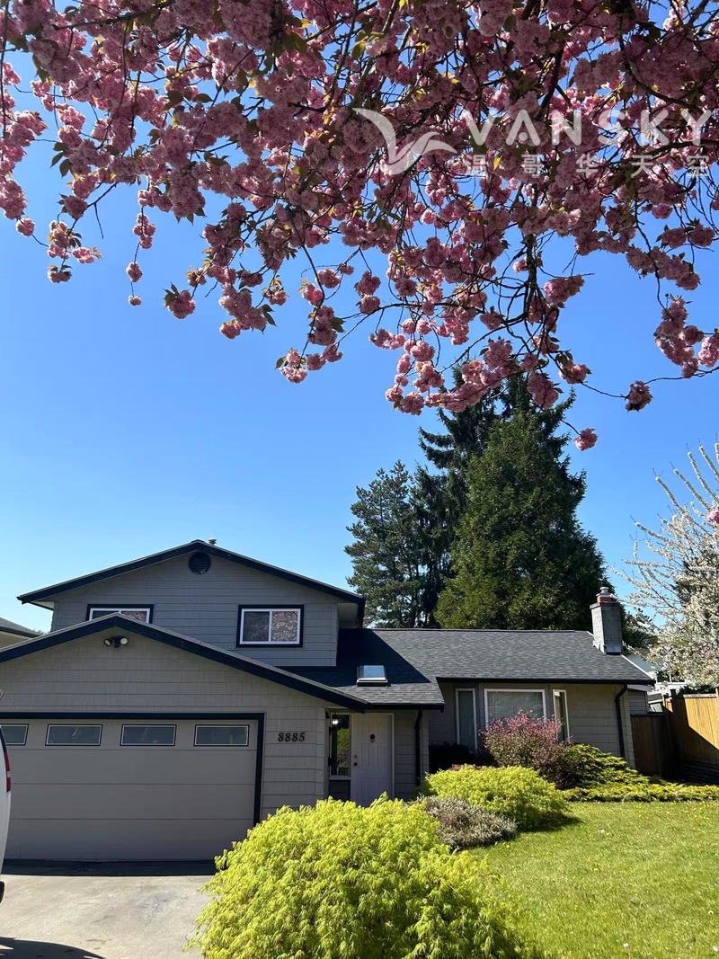 Surrey 楼上三房一大厅出租