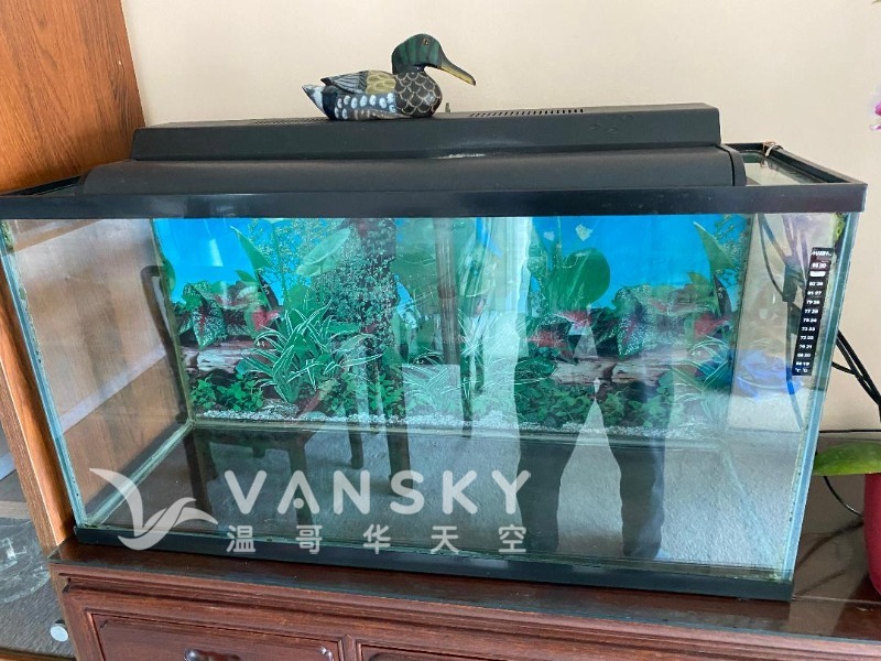 250427153352_thumbnail鱼缸.jpeg