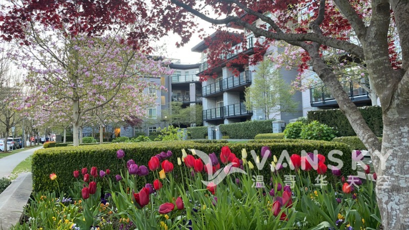 250430193713_ubc.JPG