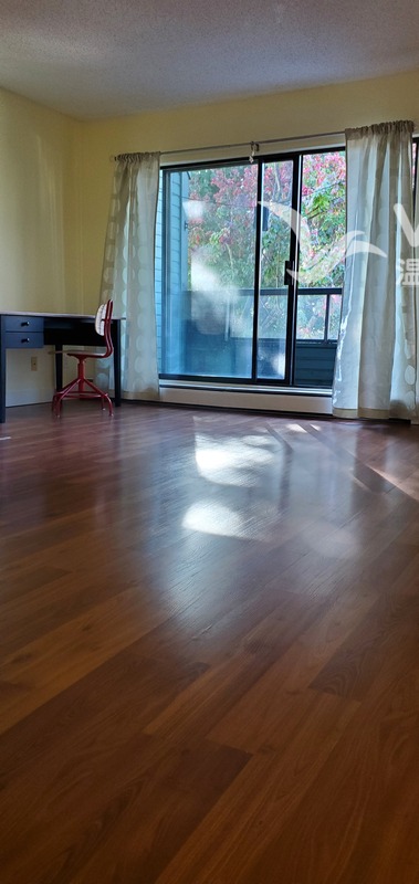 1 Bedroom suite 730 sq feet for rent