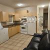 一室一廳或二室一廳(suite) for rent~