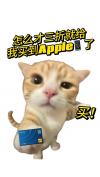 怎么才3折就买到了Apple？！
