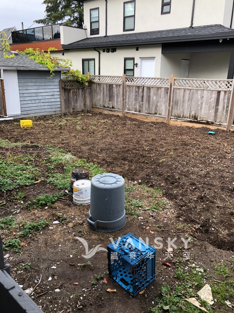 260101111118_backyard.JPG