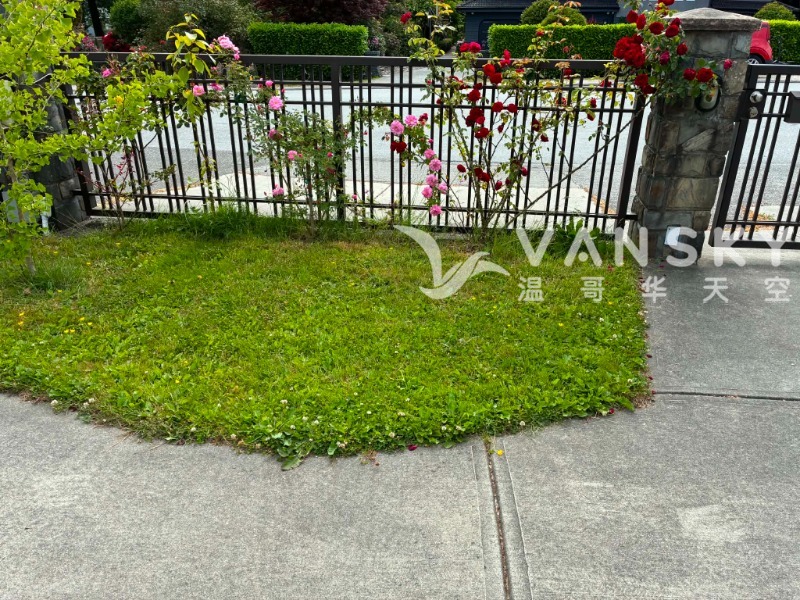 260629142305_FrontYard_2.jpeg