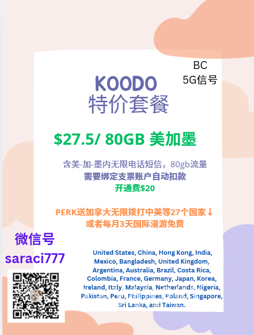 260313120431_koodo 0313.png