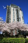 二房二卫2bed+2bath 大公寓（1164SF)）另加一个独立室内储物间