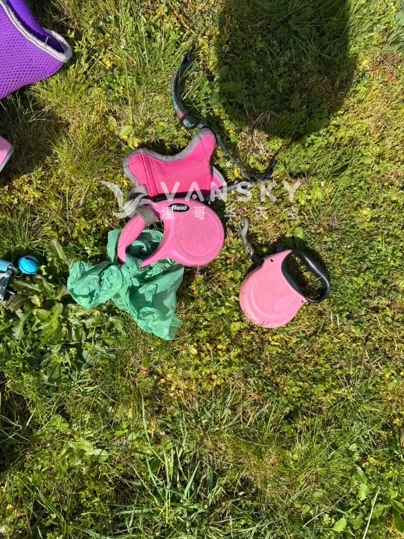 260501122044_0f059058658489d2c9db2ce7b9278b39.jpg