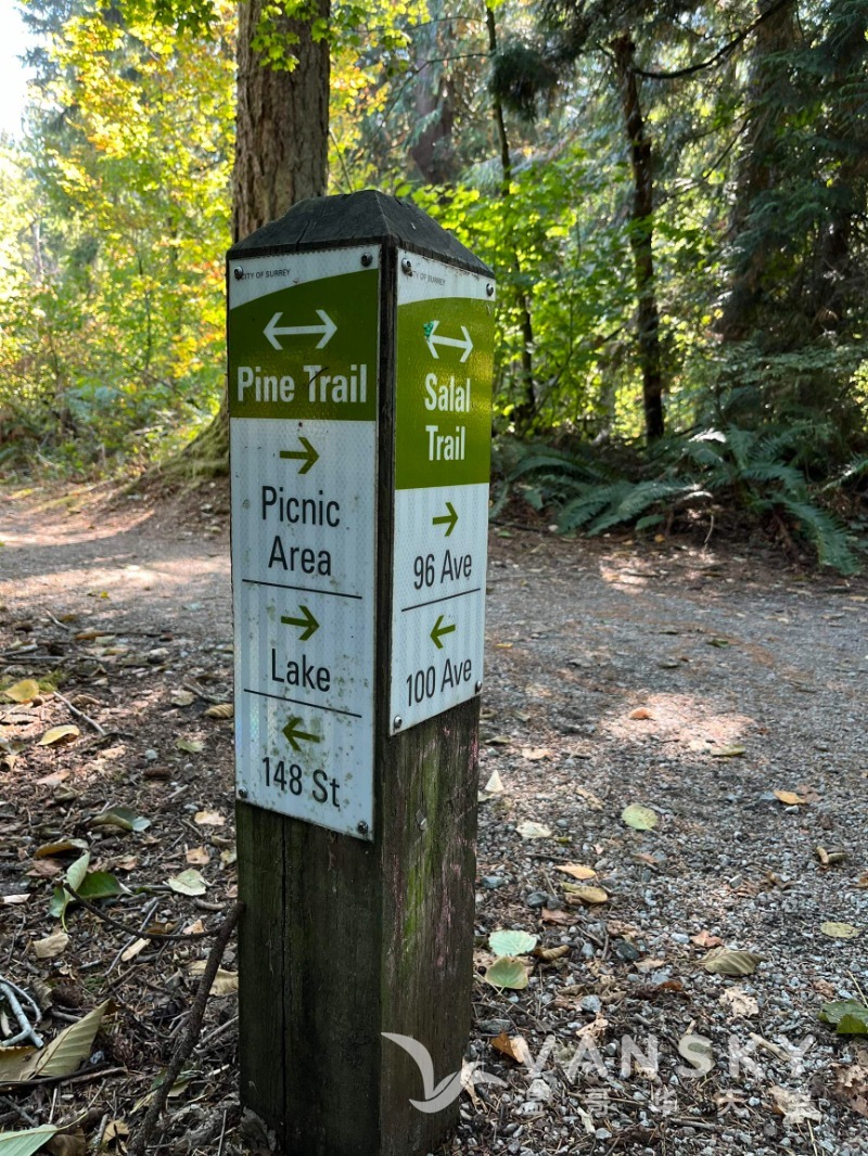 260808104929_trail.jpeg