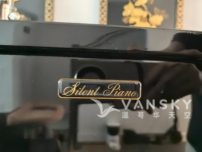 260608125133_piano2.jpg
