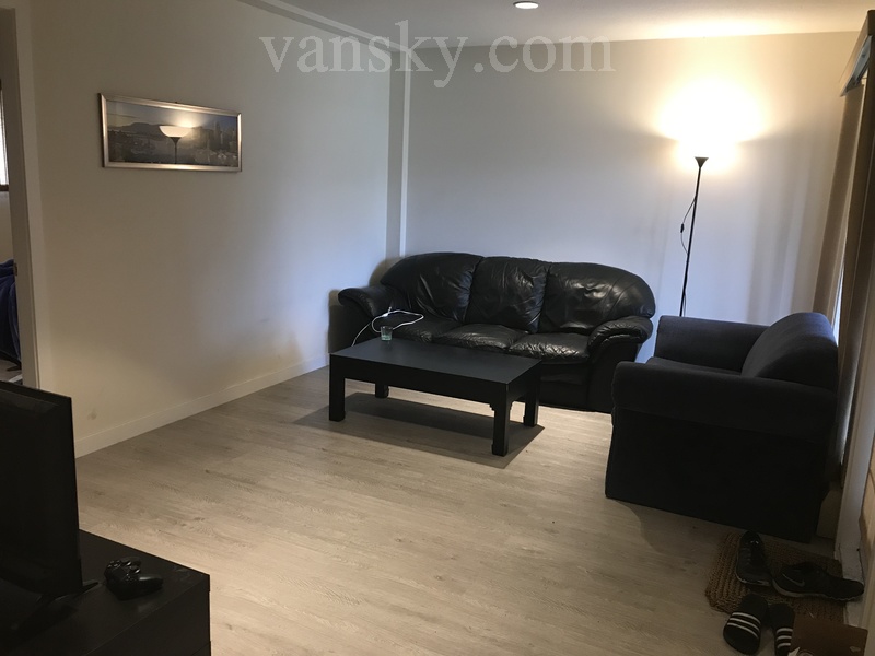 190325163347_IMG_1550.JPG