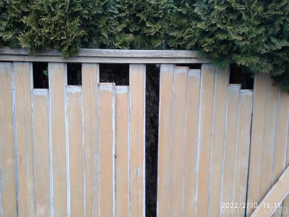 220211203926_WechatIMG761.jpeg