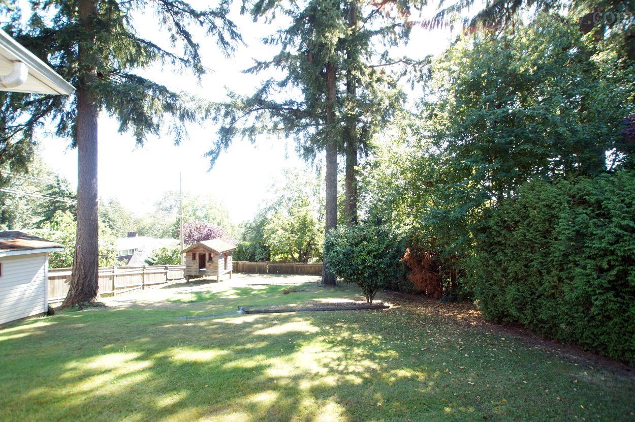 210401234258_abackyard.jpg