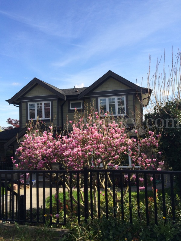 独立屋楼上一主卧出租-女生